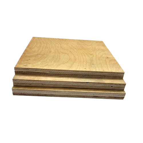 Construction Plywood Market Dynamics and Trends